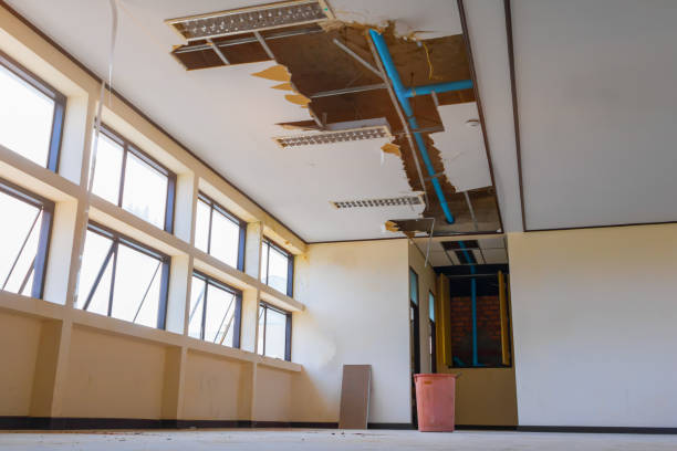 Best Carpet water damage restoration  in Buena Vista, MI