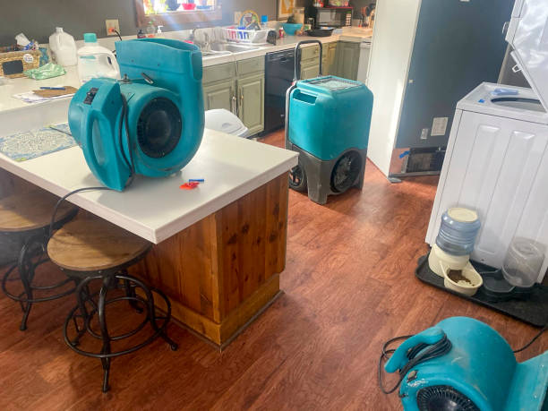 Best Fire Damage Restoration  in Buena Vista, MI