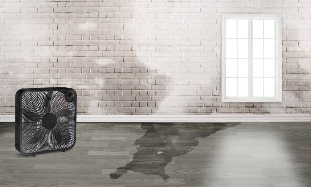 Best Emergency water damage restoration  in Buena Vista, MI