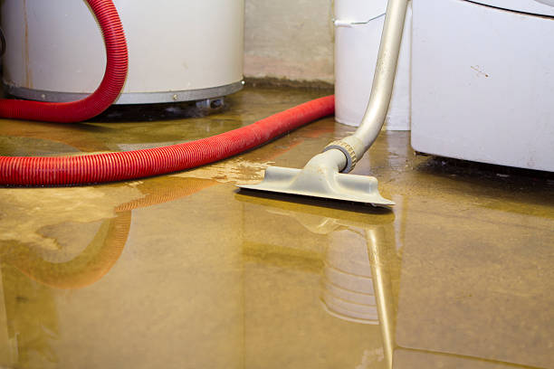 Best Water damage contractors near me  in Buena Vista, MI