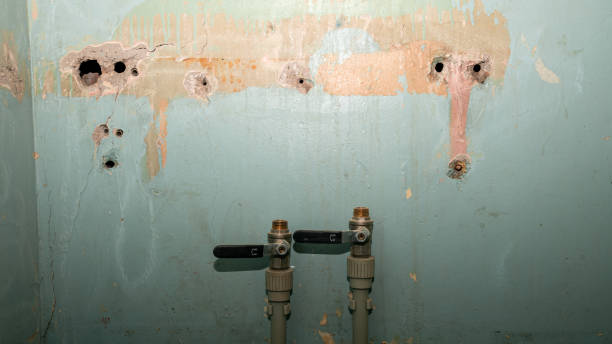 Trusted Buena Vista, MI Water damage restoration Experts