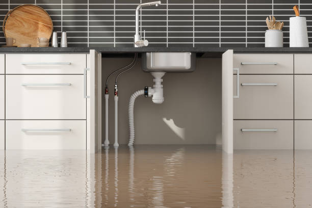 Best Water damage restoration near me  in Buena Vista, MI