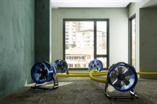Best Water damage restoration near me  in Buena Vista, MI